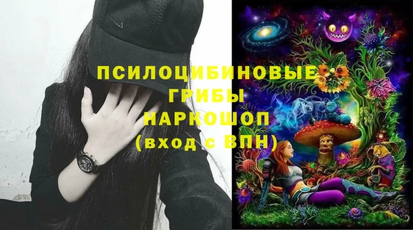 2c-b Новодвинск