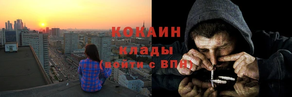 гидропоника Новозыбков
