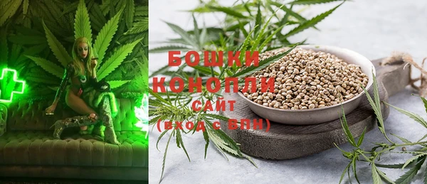 гидропоника Новозыбков