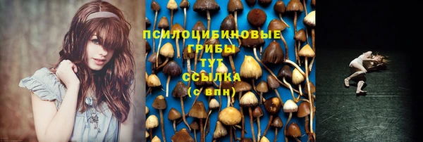 гидропоника Новозыбков