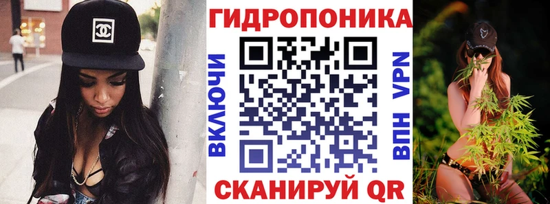 блэк спрут   Чухлома  Шишки марихуана планчик 
